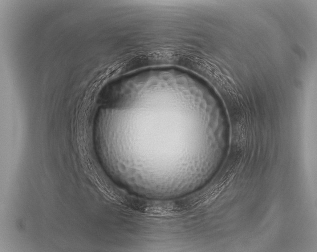 X0000116461201200912091241