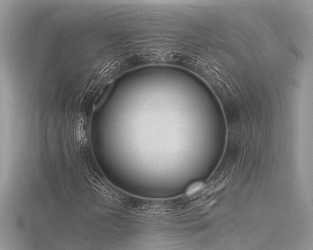 X0000116461202200912091241