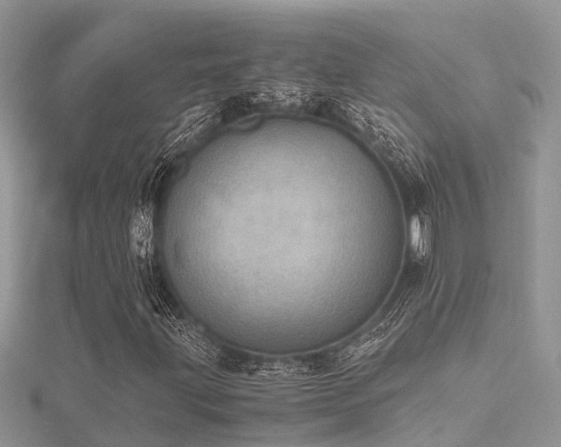 X0000116461203200912091241