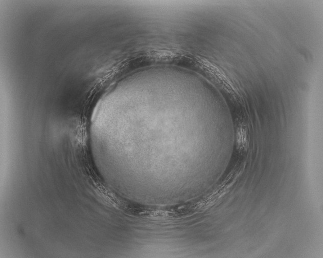 X0000116461204200912091241
