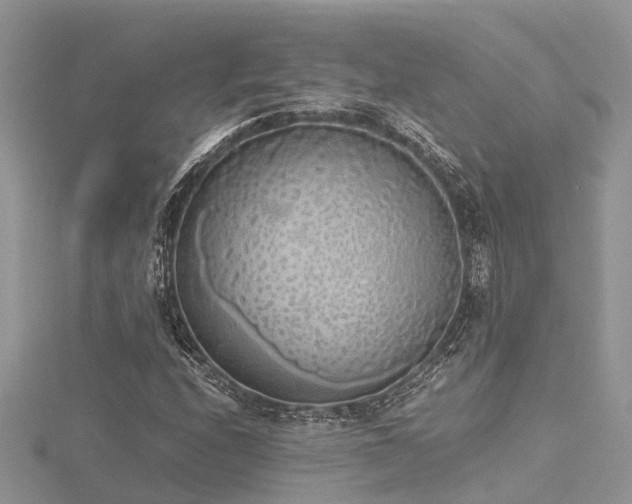 X0000116461208200912091241