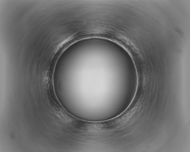 X0000116461210200912091241