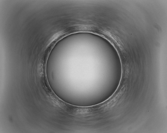 X0000116461211200912091241