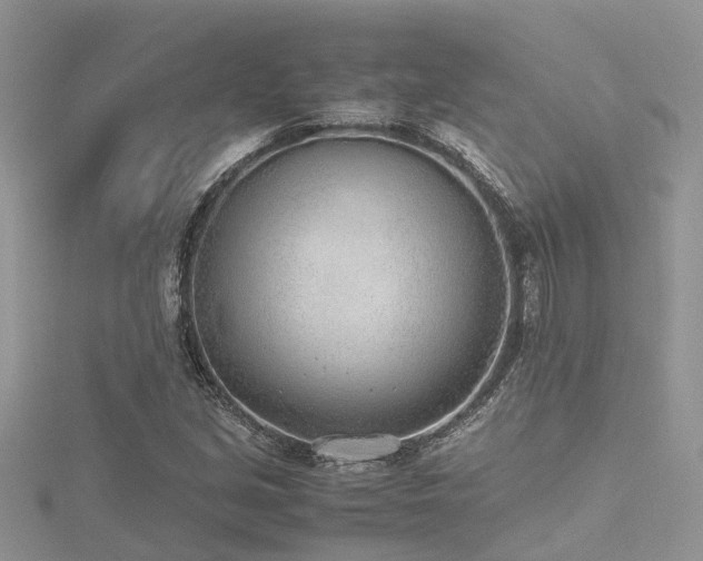 X0000116461213200912091241