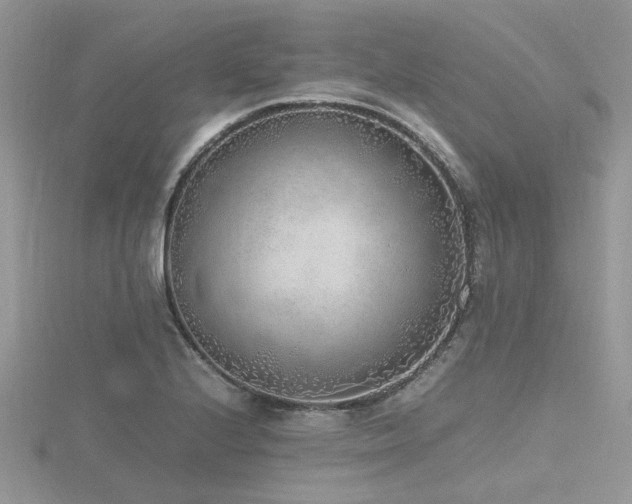 X0000116461224200912091242