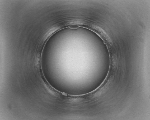 X0000116461225200912091242
