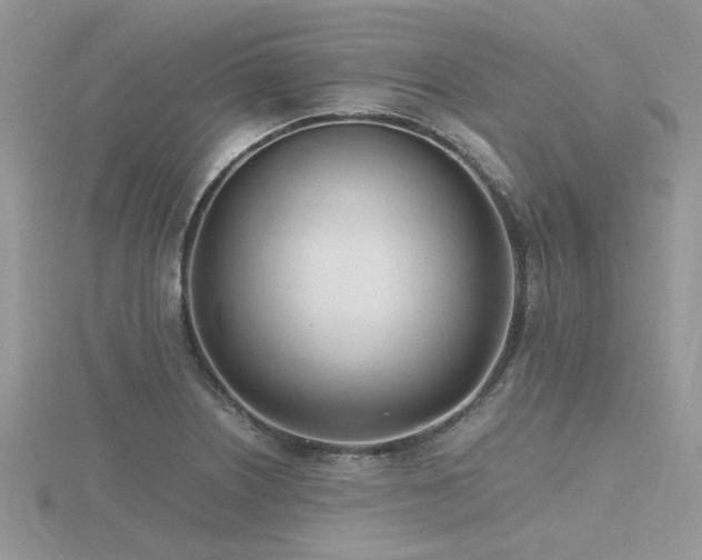 X0000116461226200912091242