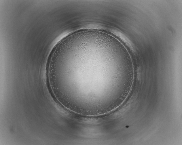X0000116461229200912091242