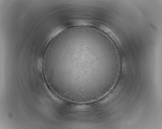 X0000116461233200912091242