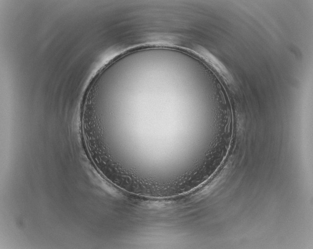 X0000116461240200912091242