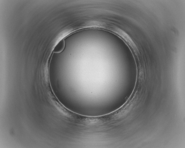 X0000116461242200912091242