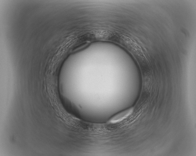 X0000116461249200912091241