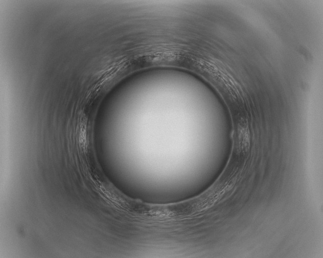 X0000116461250200912091241