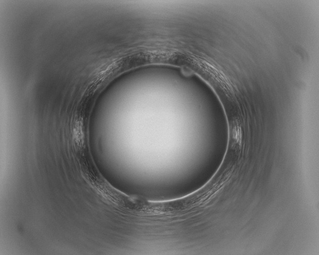 X0000116461252200912091241