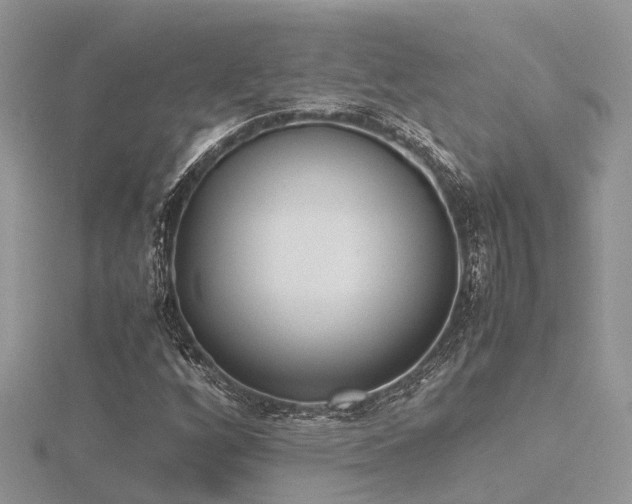 X0000116461256200912091241