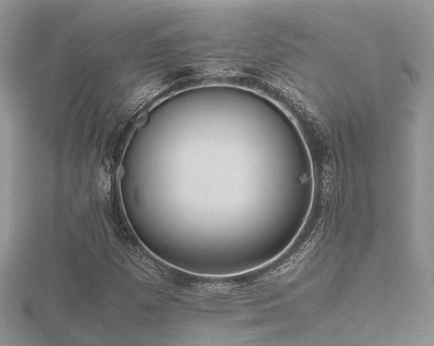 X0000116461257200912091241
