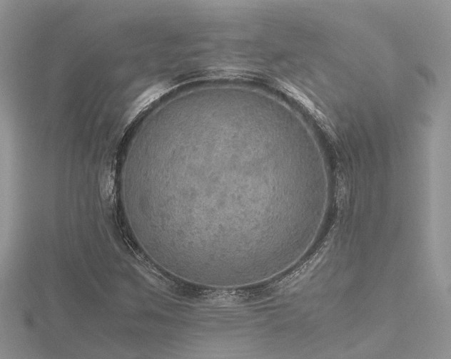 X0000116461259200912091241