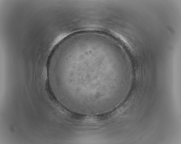X0000116461267200912091241