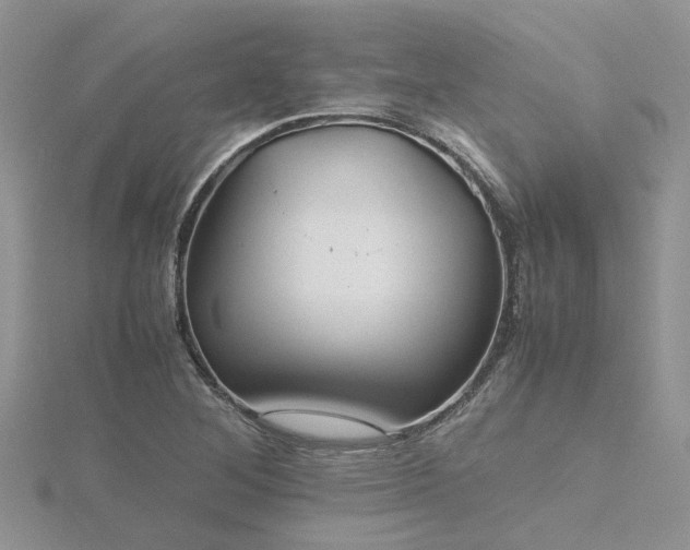 X0000116461268200912091241