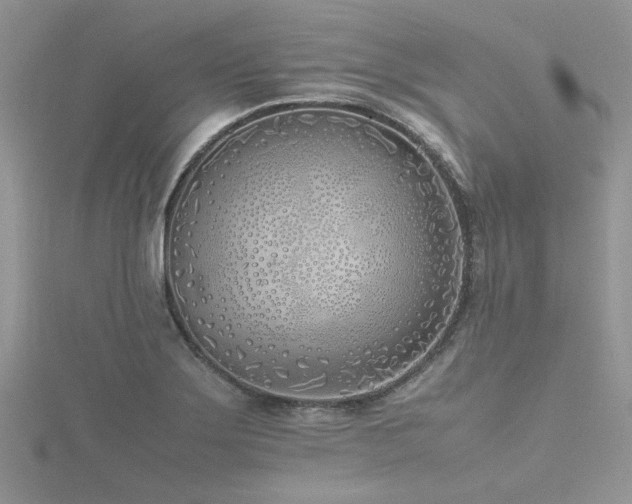 X0000116461275200912091241