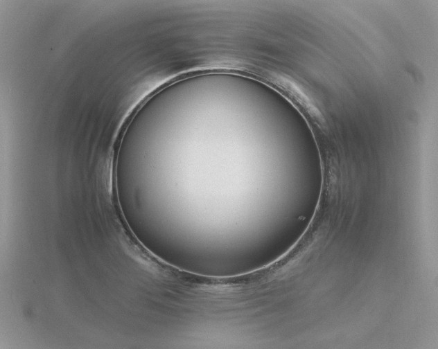 X0000116461276200912091241