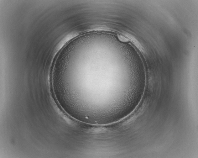X0000116461282200912091241