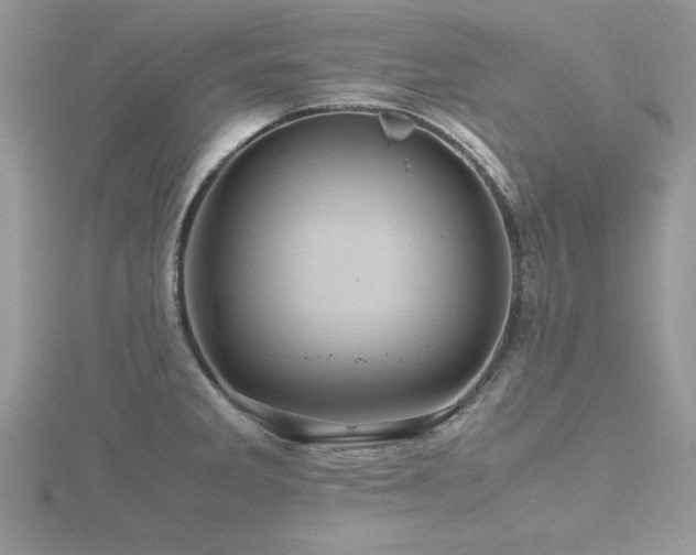 X0000116461285200912091241