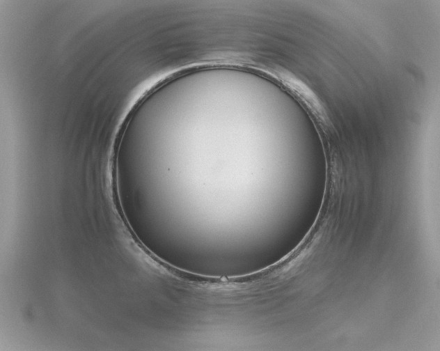 X0000116461288200912091241