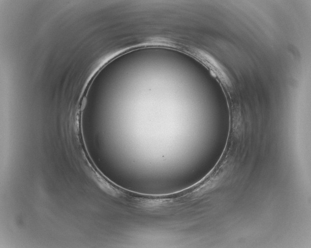 X0000116461292200912091240