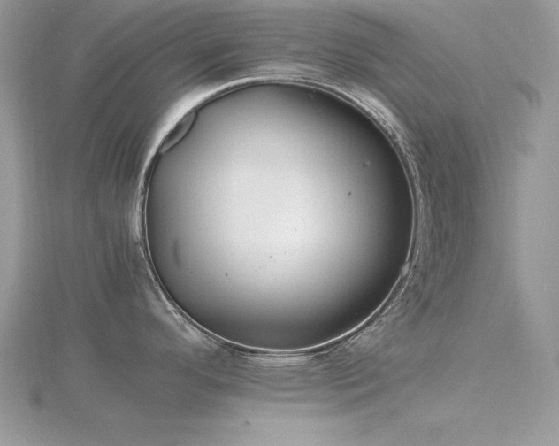 X0000116461296200912091240