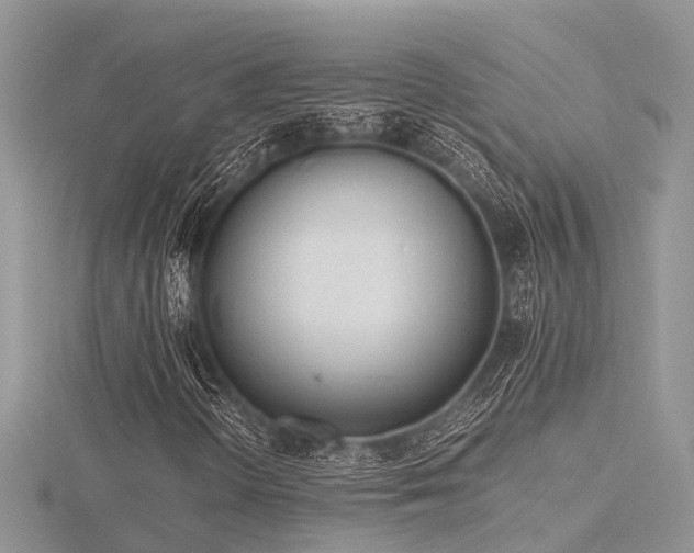 X0000116461298200912091240