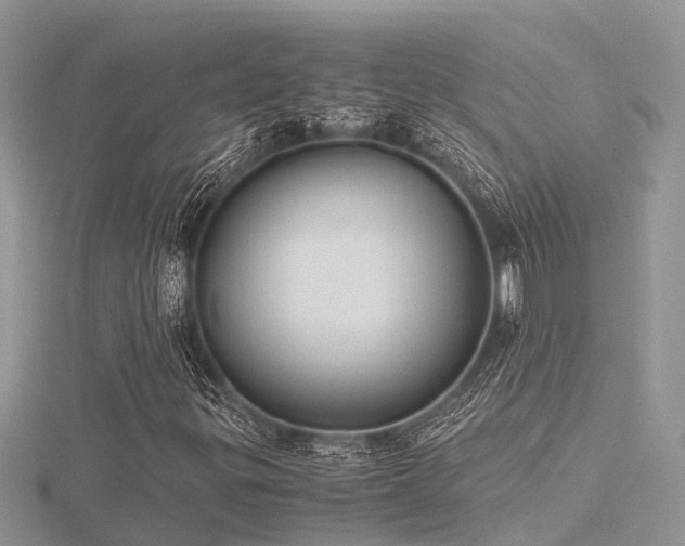 X0000116461299200912091240