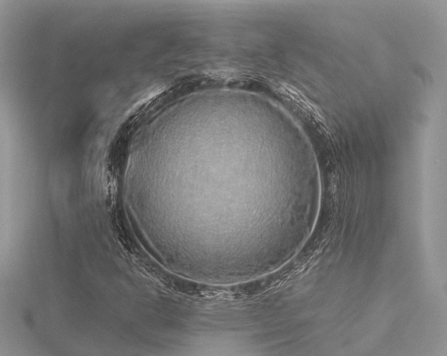 X0000116461302200912091240