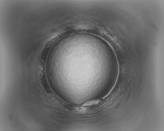X0000116461303200912091240