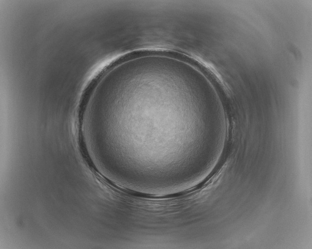 X0000116461319200912091240