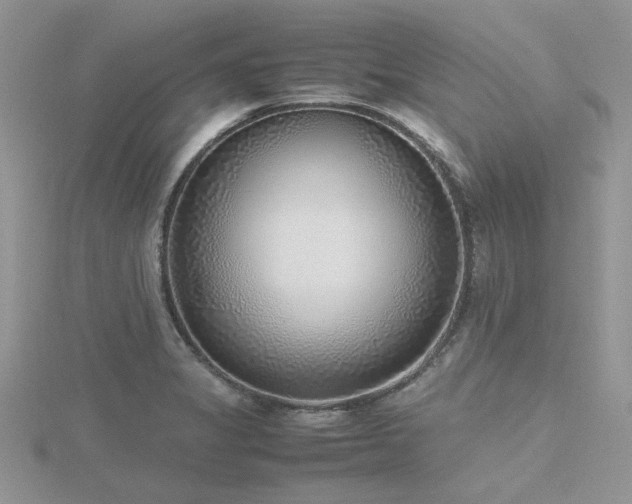 X0000116461325200912091240