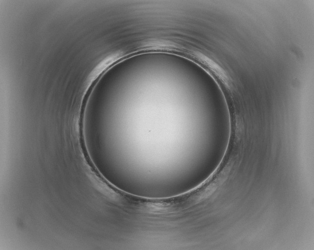X0000116461330200912091240