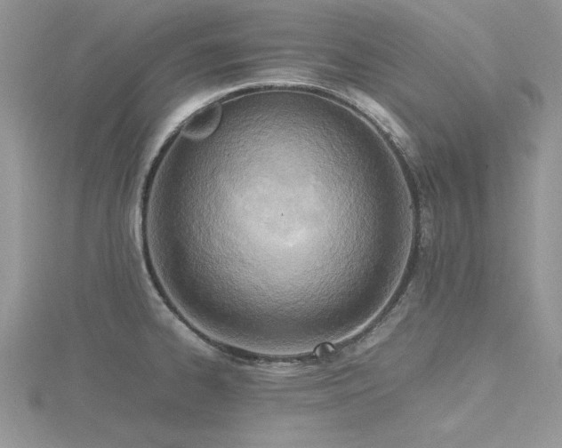 X0000116461334200912091240