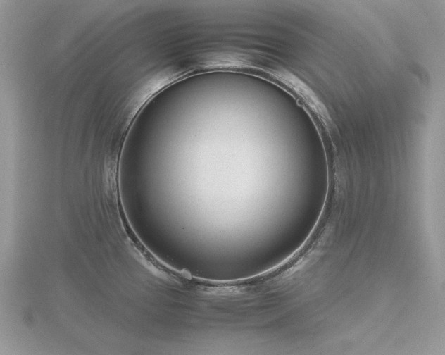 X0000116461337200912091240