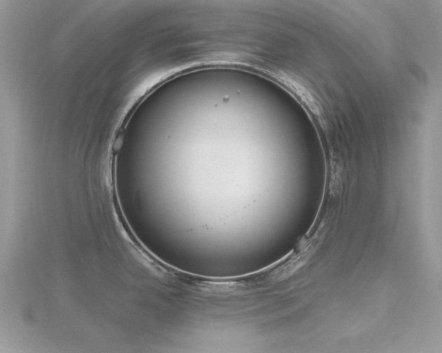 X0000116461342200912091240