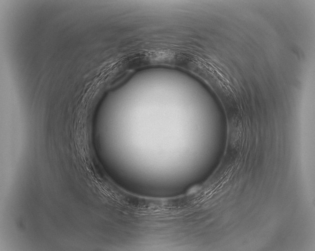 X0000116461345200912091240