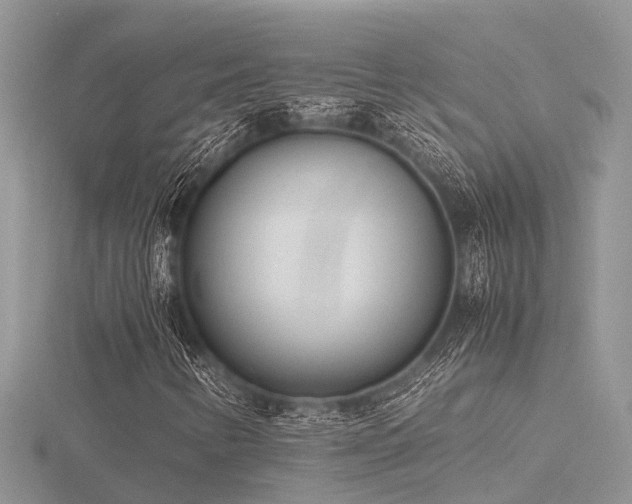 X0000116461346200912091240