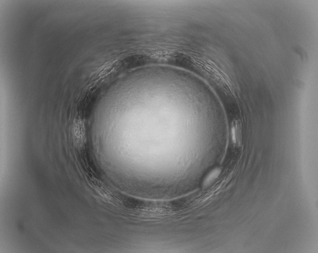 X0000116461347200912091240
