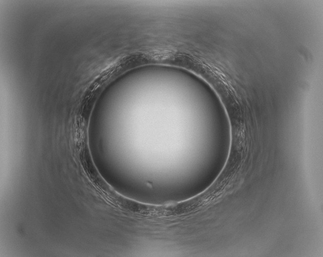 X0000116461349200912091240