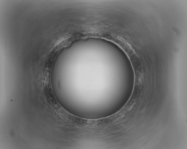 X0000116461350200912091240