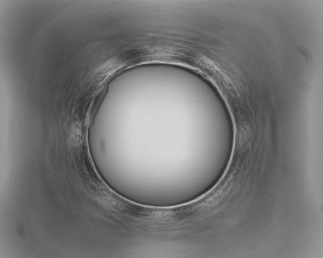 X0000116461353200912091240