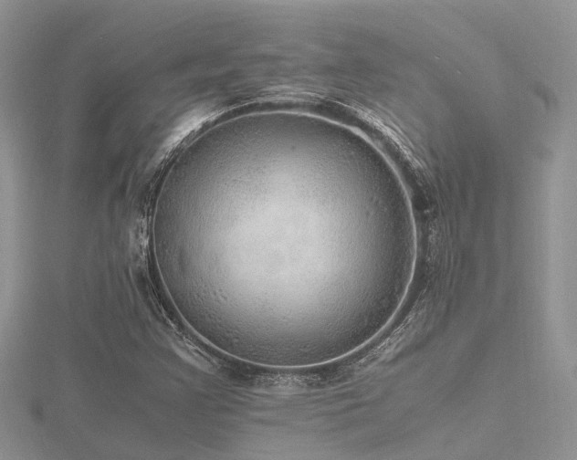X0000116461355200912091240