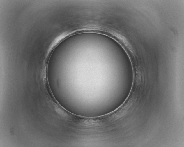 X0000116461366200912091240