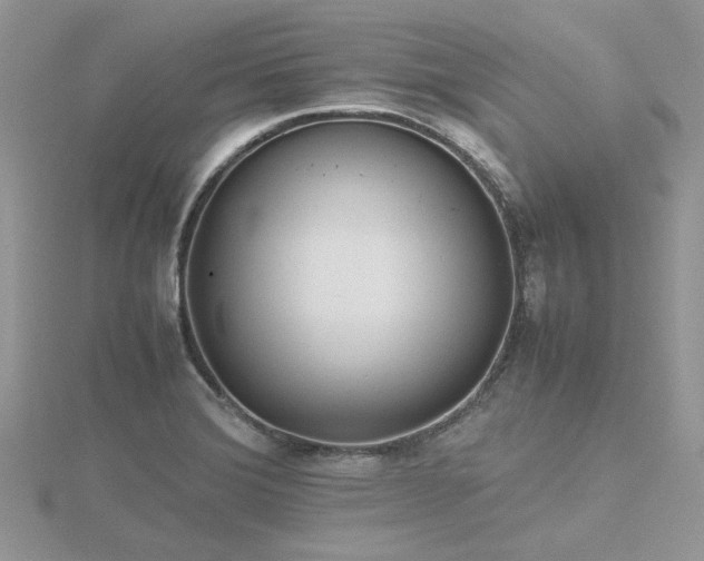 X0000116461372200912091239