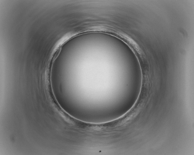 X0000116461373200912091239